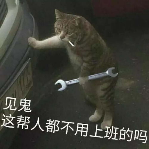 口袋空了没钱了表情包打