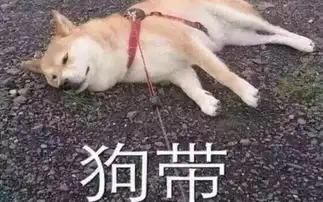  谁说水壶腰包是鸡肋我说它是必备