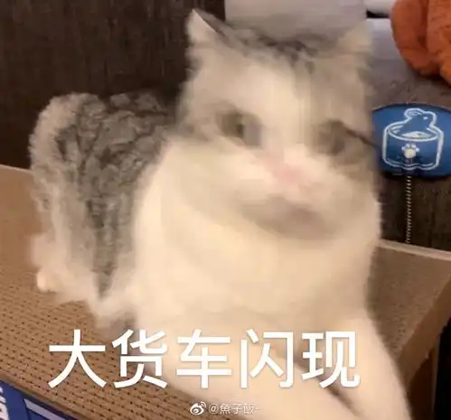  猫咪表情包香香软软的小泡芙专场今天是甜甜的小猫咪鸭
