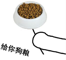  给你狗粮表情包