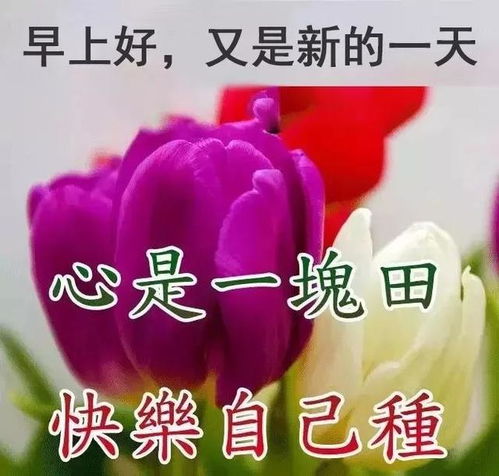  得意时须寻一条退路,不死于安乐失意时须寻一条出路,可生于忧患