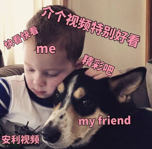  假笑男孩表情包我就静静的看着你装逼