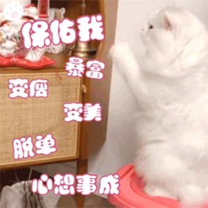  动图表情包新年新对象年年不重样
