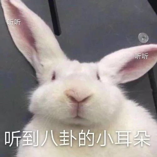  最新宁波将再建一座大桥同时,还有这些地方要被征收