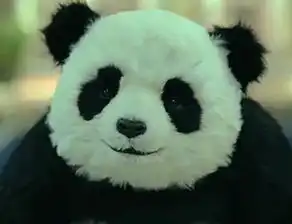  这系列的图片叫什么名
