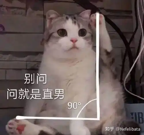 小猫击掌表情包直男