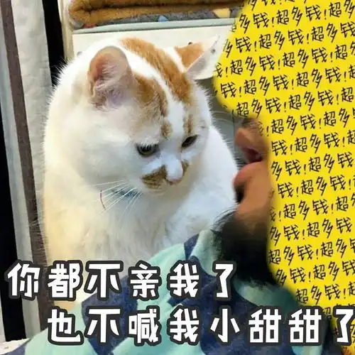  有最近流行的表情包吗