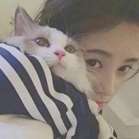 微信头像女士专用猫咪好