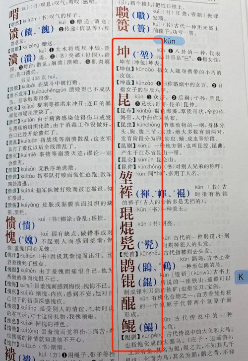  为什么要让孩子善用工具书看完这篇你就懂了