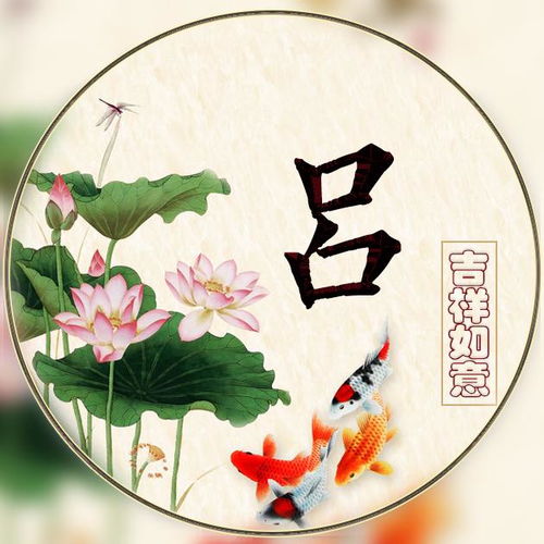  爱了45张姓氏微信头像,满屏都是荷花的清香