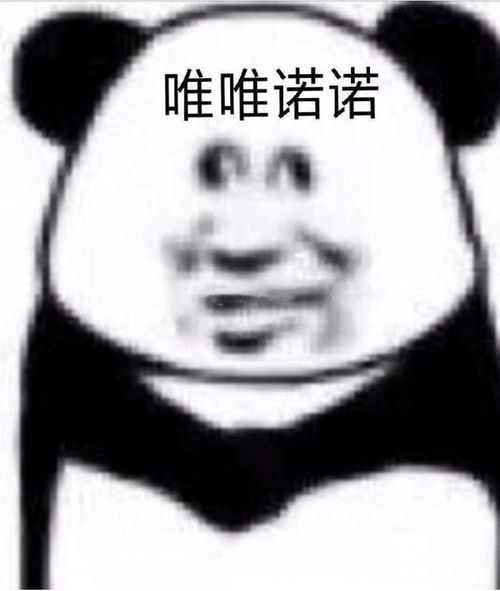 一次六百元换个货船车叶,贵吗