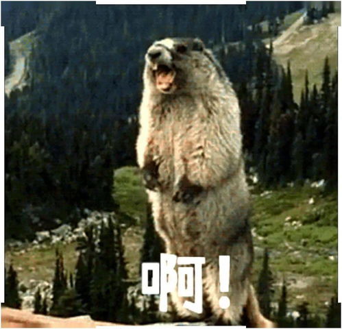  看哭了...
