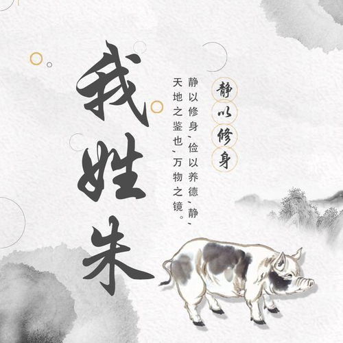  2019年新款十二生肖手机壁纸,生肖壁纸,微信头像,喜欢快来带走