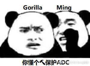  lpl洲际赛夺冠后,360度玩梗粉丝齐上线喂,你的表情包掉了,是你的才对
