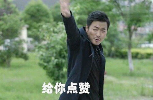  人民的名义中,陈海局长买的保险能赔吗