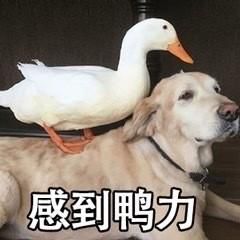  刘宇宁学历