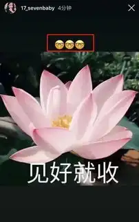  王思聪单手搂美女夜店玩耍,美女个头超过王思聪,伴随音乐嗨跳