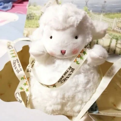  美国bunniesbythebay小羊公仔毛绒玩具玩偶抖音同款小坐羊绵羊