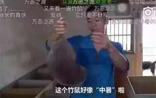  火遍全网的6大土味网红走红背后的思考