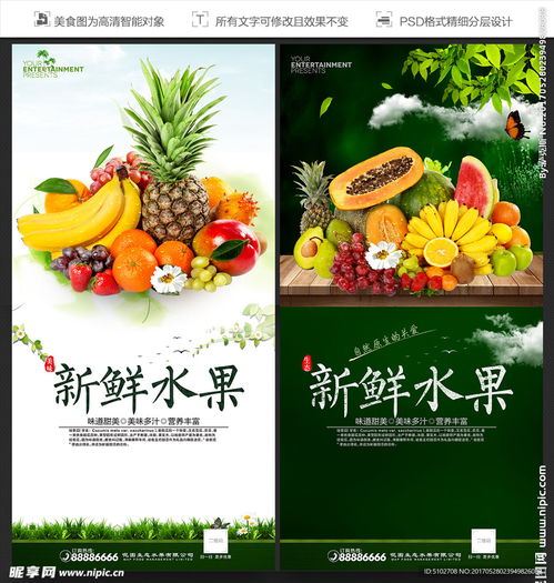  水果设计图