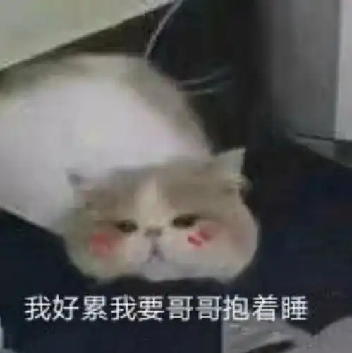  表情包你礼貌吗