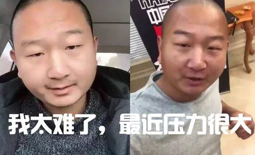  2019最火表情包大盘点今天你又用了哪个哈哈哈哈