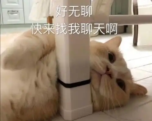  土味情话你是可爱的女孩我是可爱