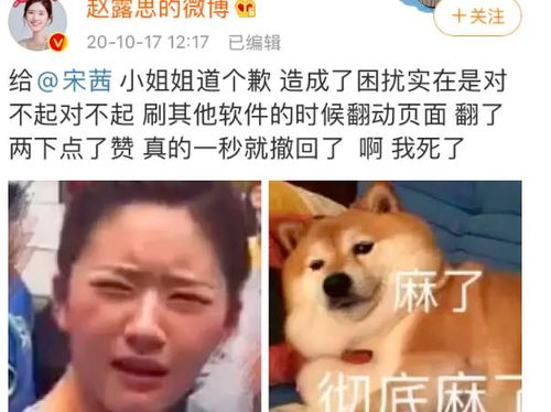  得罪宋茜,表白肖战,被于正骂缺心眼,赵露思逆流而上的精彩