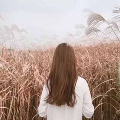  多彩贵州文学网2020年了,我们为什么还要讨论女性写作