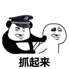  熊猫头警察系列表情包对不起,我是警察