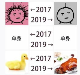  20172019刷爆朋友圈,来看看大家都有哪些梗
