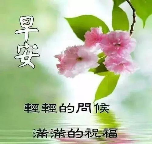  每一个人的生命都不同,但每一个人的生命都是风景,早安