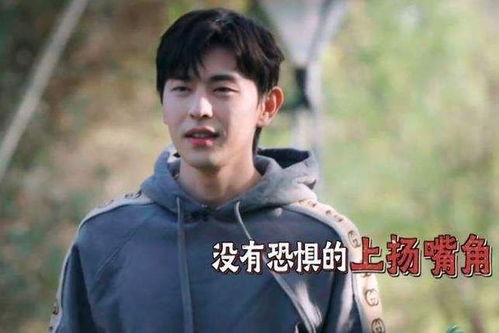  邓伦偷逃税被罚星途彻底凉凉,官媒痛批执迷不悟只会自断出路