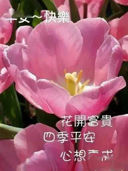  中老年表情包聊天不用打字带字动图健康第一,活得快乐一点