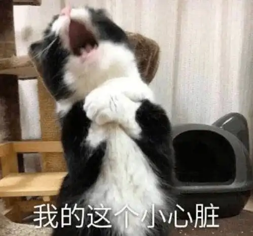  学琴的本质都是拼妈,看看琴妈的心酸之路