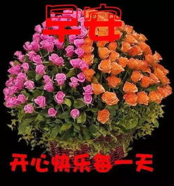  早晨问安于岁月中坚持,不言放弃,早晨好