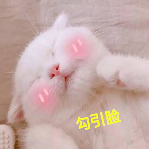  哦收藏夹