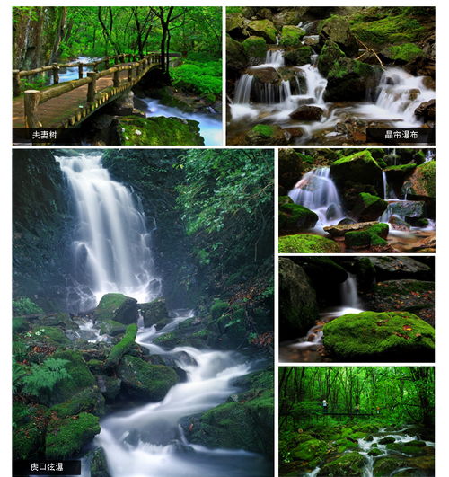  辽宁本溪关门山国家森林公园门票避暑赏枫叶山峰峻秀沟幽谷深清流潺潺花木葱动植种类繁多度假休闲好去处