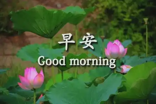  2020年第81期每天经典正能量早安心语,朋友圈你好