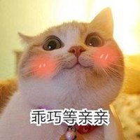  电你猫猫图表情包微信头像图片大全
