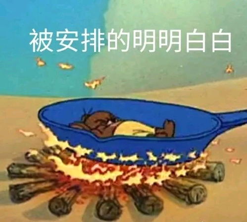  表情包人聊天必备沙雕表情包不沙雕你顺着网线来打我猫和老鼠专栏万能回复表