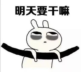  一入表情包深似海,从此斗图是家常