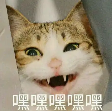打滚表情包猫猫物质主义