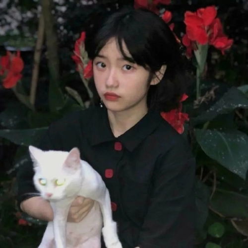  十字以内富有韵味的文案