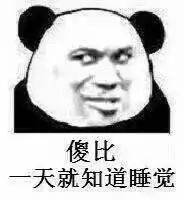  熊猫头表情包i海边微风起等风也等你