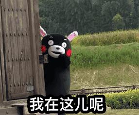 好运泡泡澡的相册沙雕表情包头像