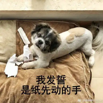  累爬的表情包