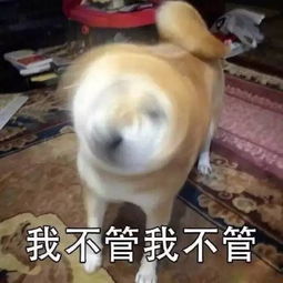  如何避免碰瓷党今天看完这几条你就有数了搜狐汽车搜狐网