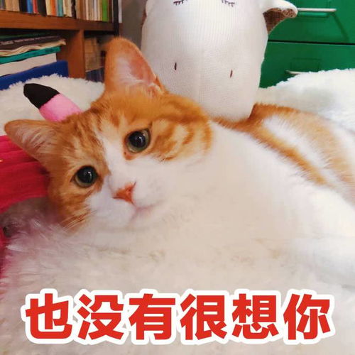 我作业写完了表情包家长