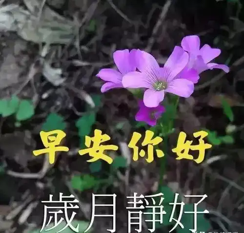  浓浓的茶,及不上思念的浓度陈香的酒,及不上牵挂的久远